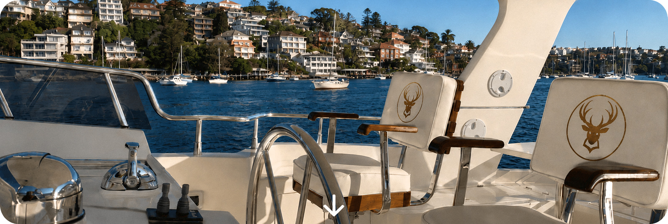 My Ultimate Bucks Party Packages in Sydney